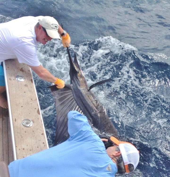 costa rica jaco fishing sailfish
