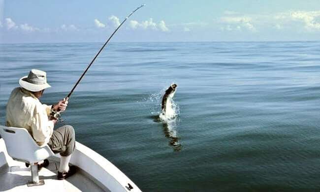 eddie brown tortuguero tarpon fishing