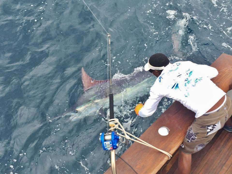 jaco fishing pacific blue marlin