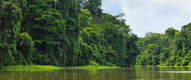 caribbean-tortuguero-national-park