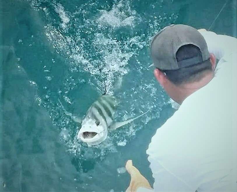 Inshore Roosterfishing