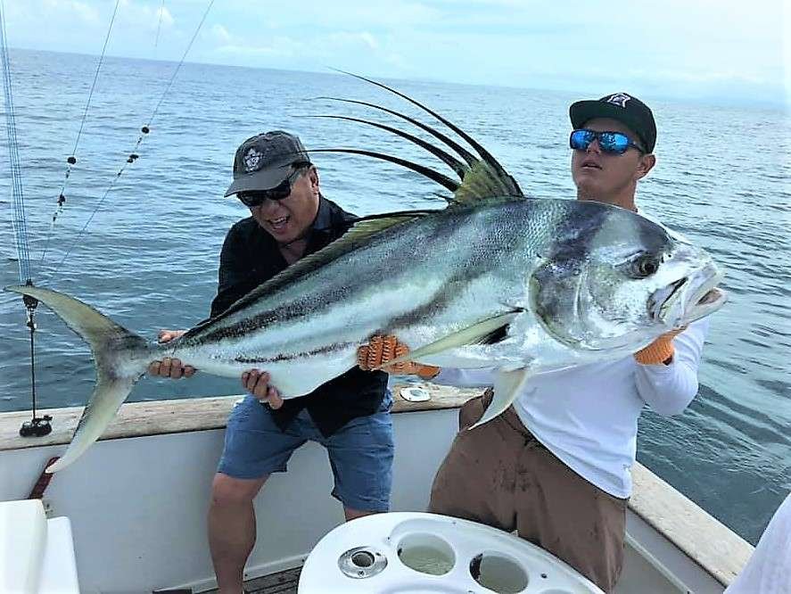 Inshore, there are roosterfish