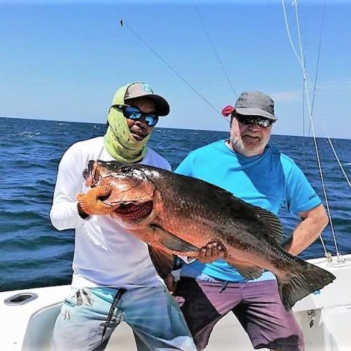Big cubera snapper at Tamarindo